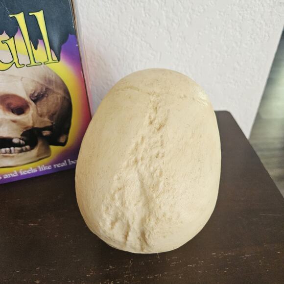 Vintage Halloween Skull Blow Mold Hinged Moveable Jaw Paper Magic Group - Picture 5 of 10